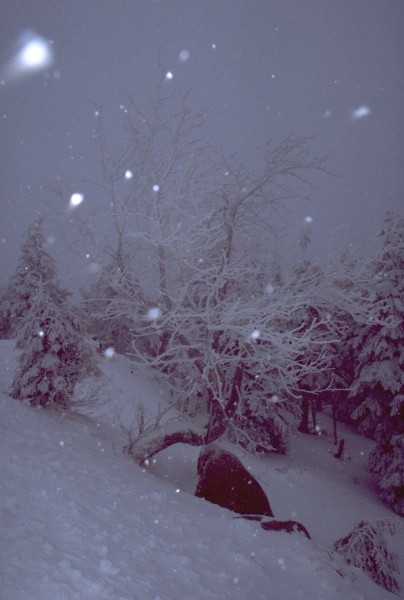 Image 0000_snowdriftsatbrocken.jpg