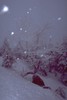0000 snowdriftsatbrocken thumb