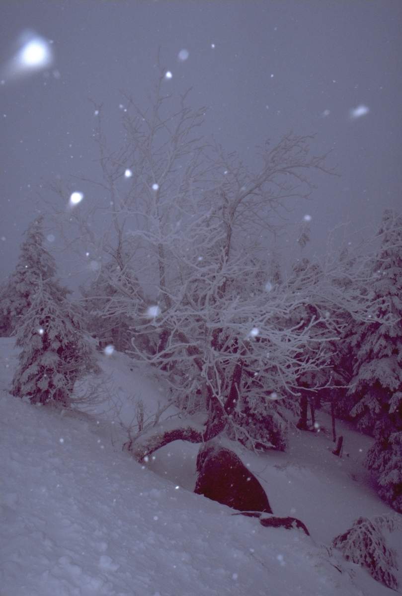 Image 0000_snowdriftsatbrocken.jpg