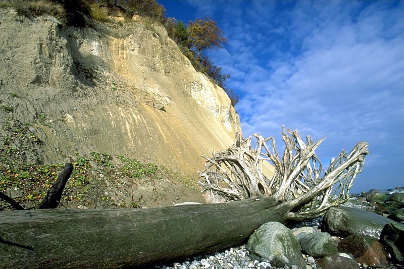 Image 0500_kreidefelsenruegen.jpg